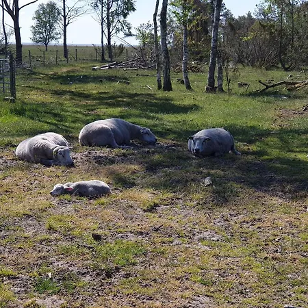 10 Person In Hadsund-by Traum Hébergement de vacances *