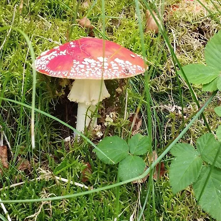 10 Person In Hadsund-by Traum Hébergement de vacances *